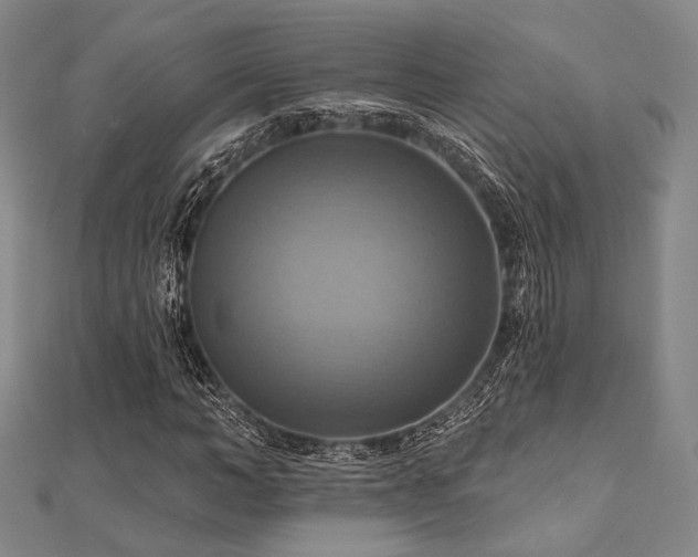 X0000112100966200908041508