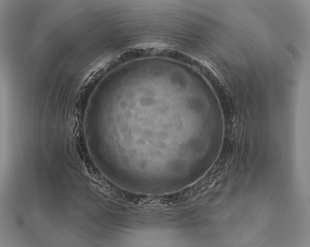 X0000112100967200908041508