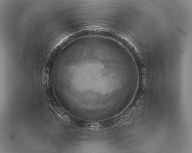 X0000112100968200908041508