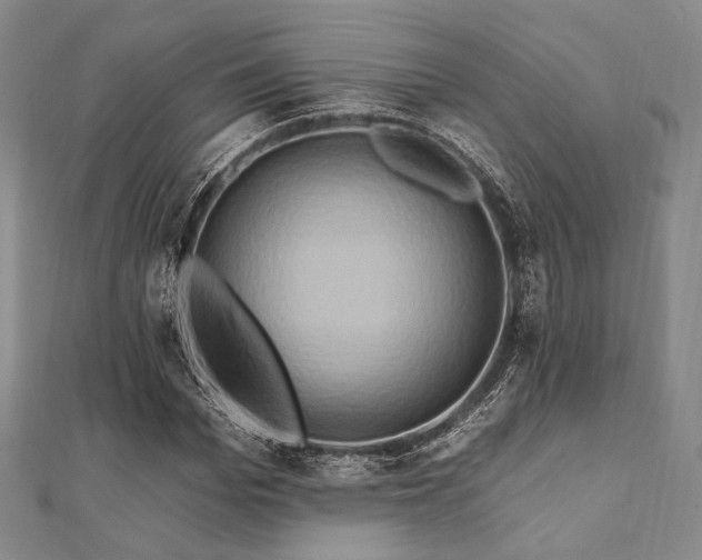 X0000112100969200908041508