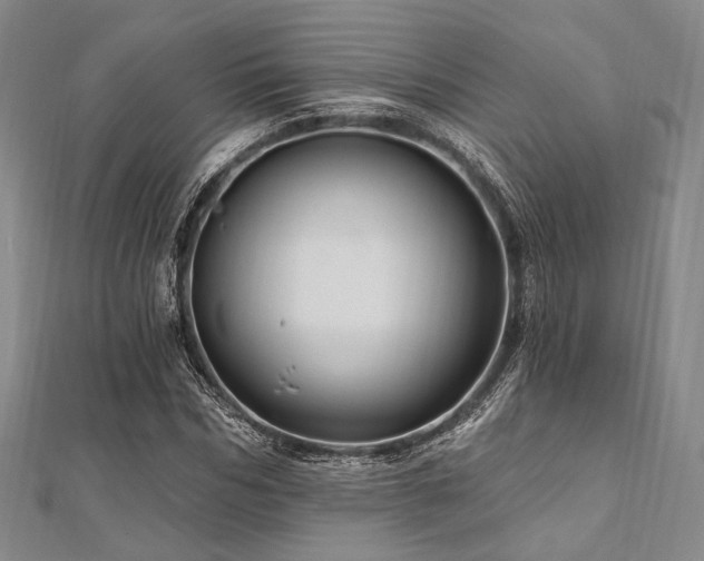 X0000112100970200908041508