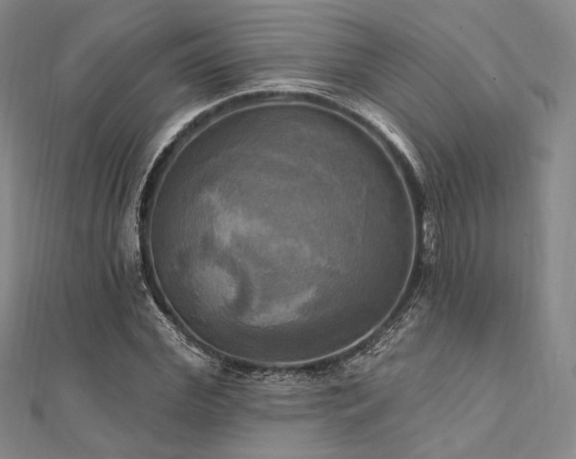 X0000112100972200908041507