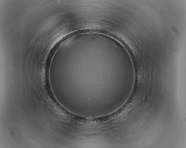 X0000112100975200908041507