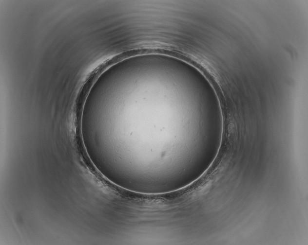 X0000112100979200908041507