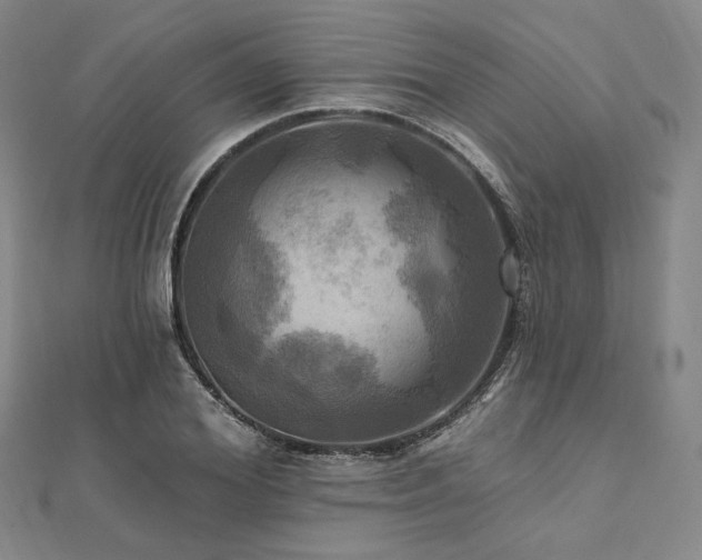 X0000112100980200908041507