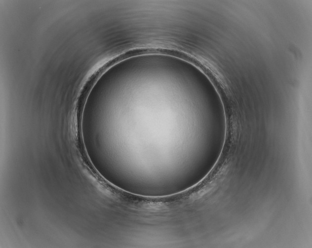 X0000112100982200908041507