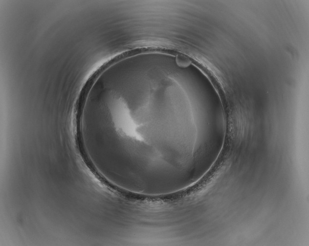X0000112100983200908041507
