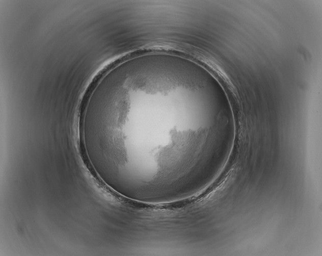 X0000112100984200908041507