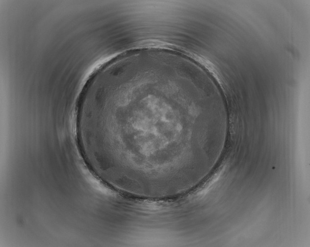 X0000112100987200908041507