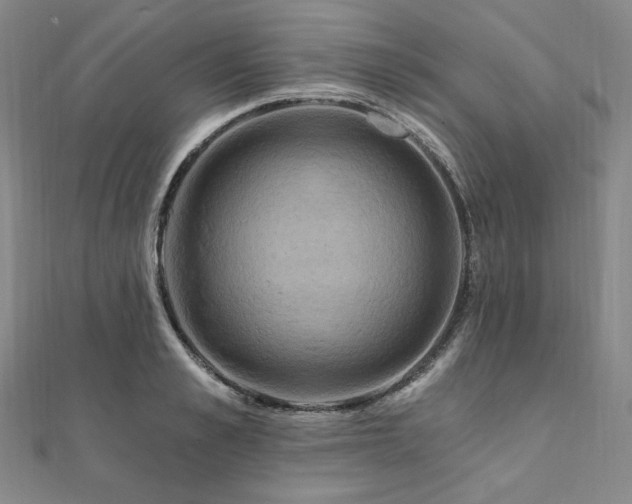 X0000112100989200908041507