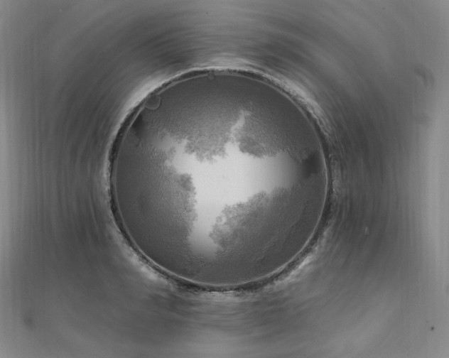 X0000112100990200908041507