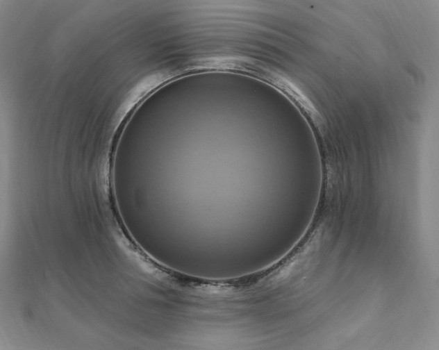 X0000112100994200908041507