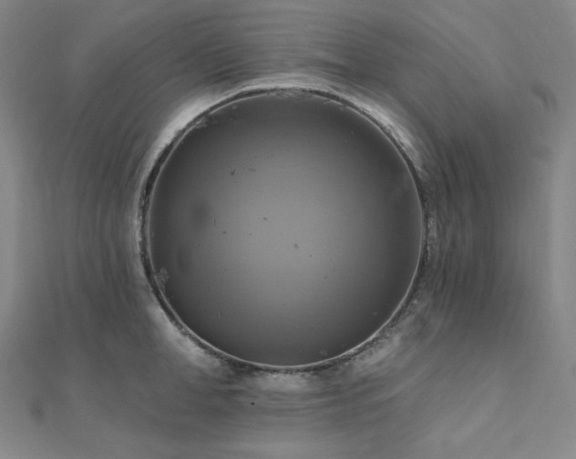 X0000112100998200908041507