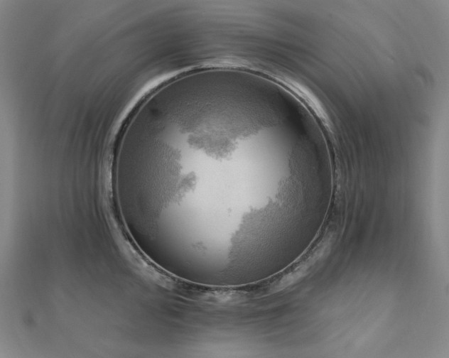 X0000112101000200908041507