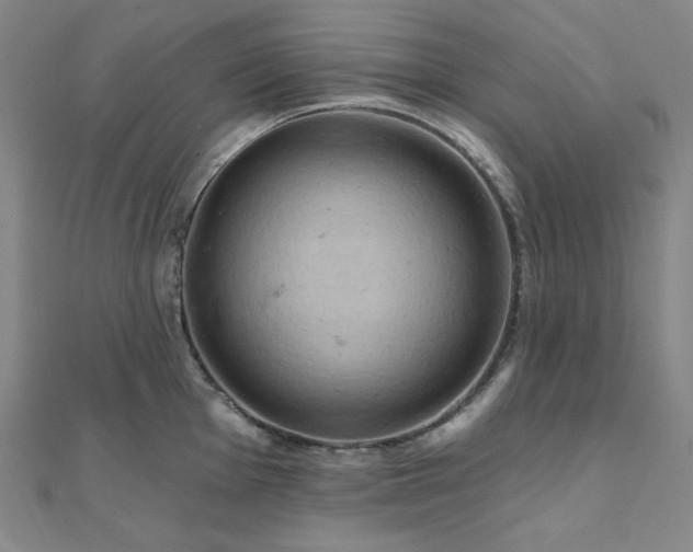 X0000112101001200908041507