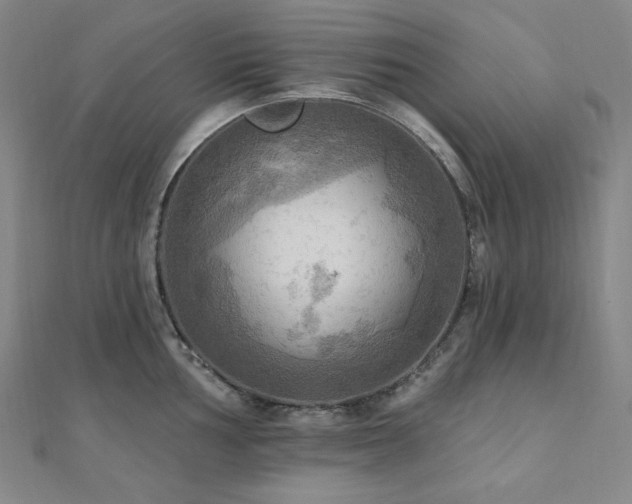 X0000112101002200908041507