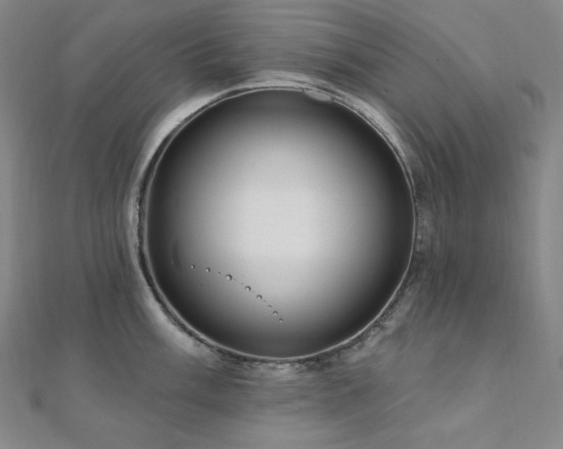 X0000112101003200908041507