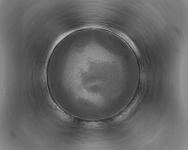 X0000112101004200908041507