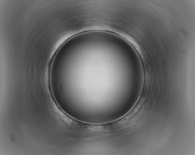 X0000112101006200908041507