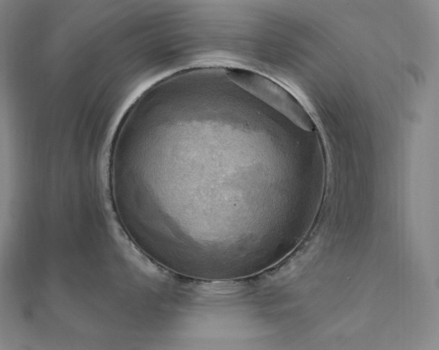 X0000112101008200908041507