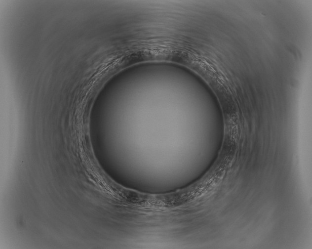 X0000112101009200908041506
