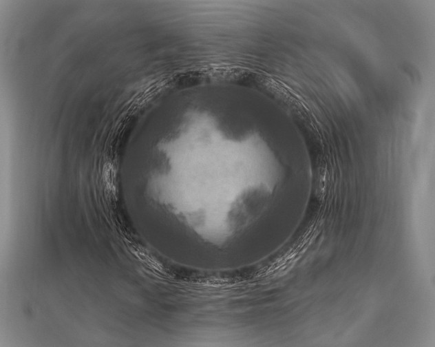 X0000112101010200908041506