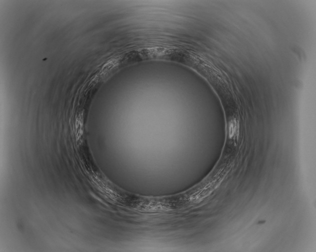 X0000112101011200908041506