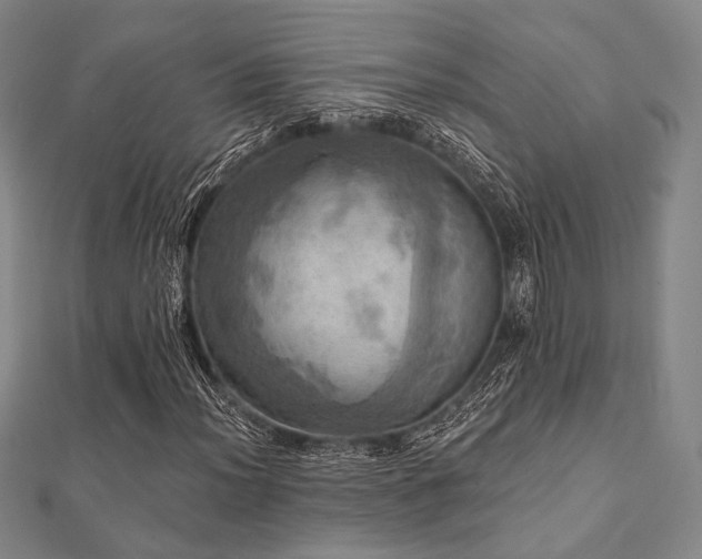 X0000112101012200908041506