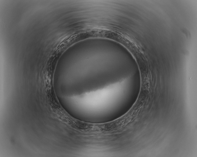 X0000112101013200908041506