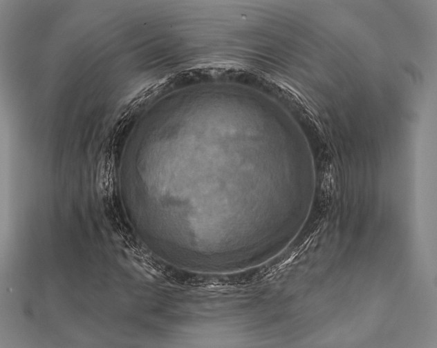 X0000112101014200908041506