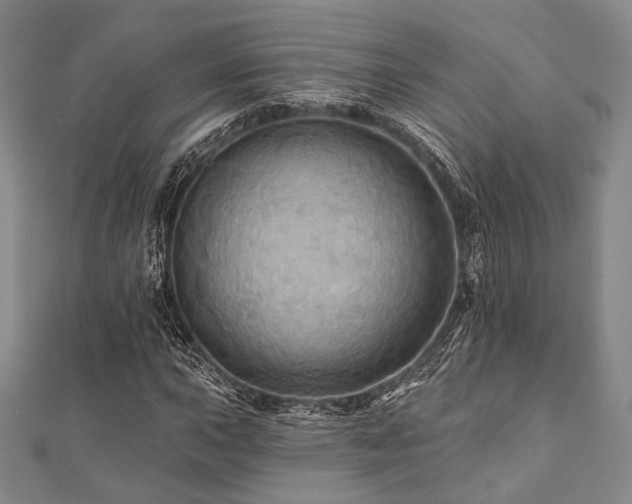 X0000112101015200908041506