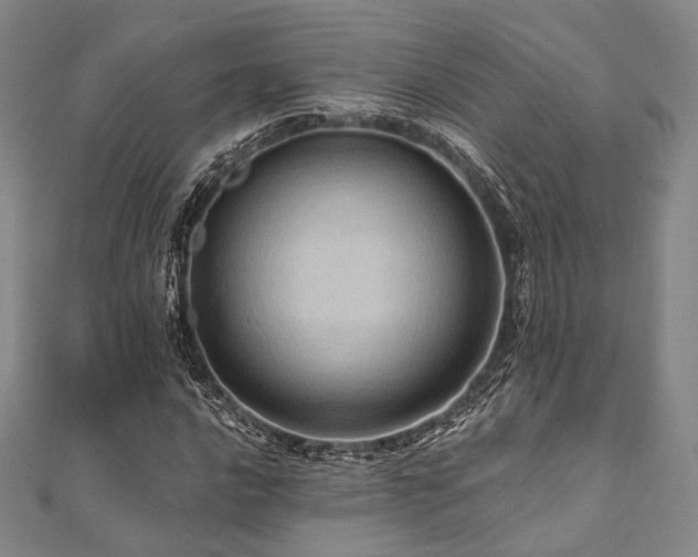 X0000112101016200908041506