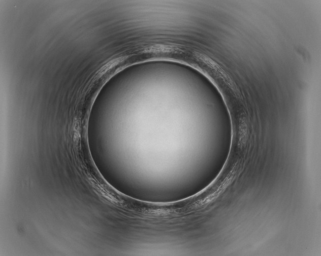 X0000112101017200908041507