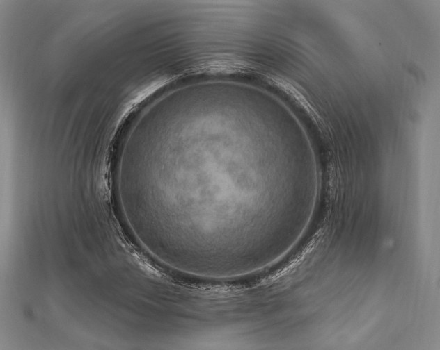 X0000112101018200908041507