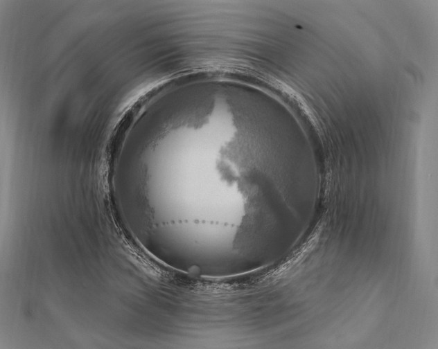 X0000112101019200908041507
