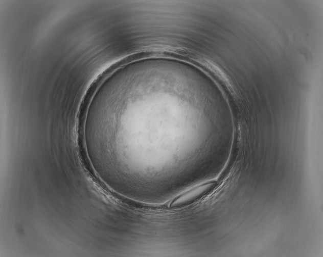 X0000112101020200908041507