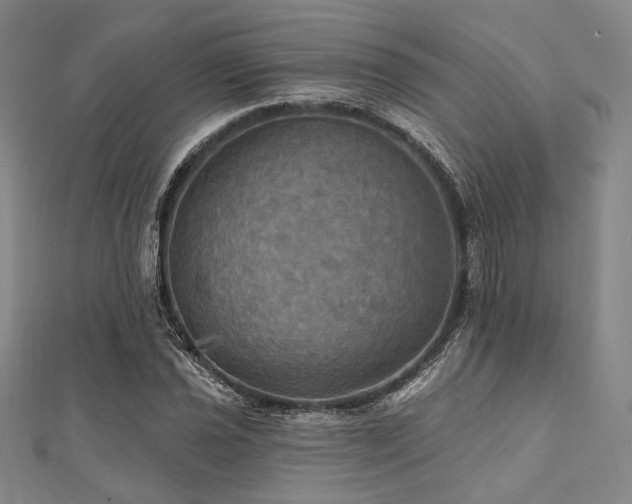 X0000112101021200908041507
