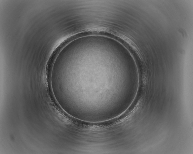 X0000112101022200908041507