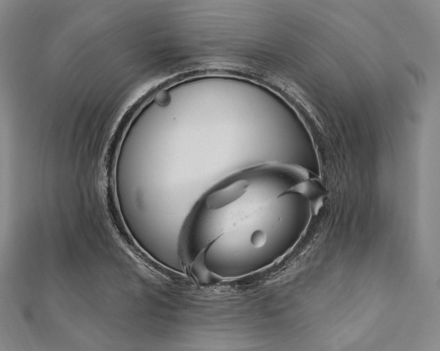 X0000112101024200908041507