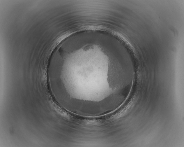 X0000112101025200908041507