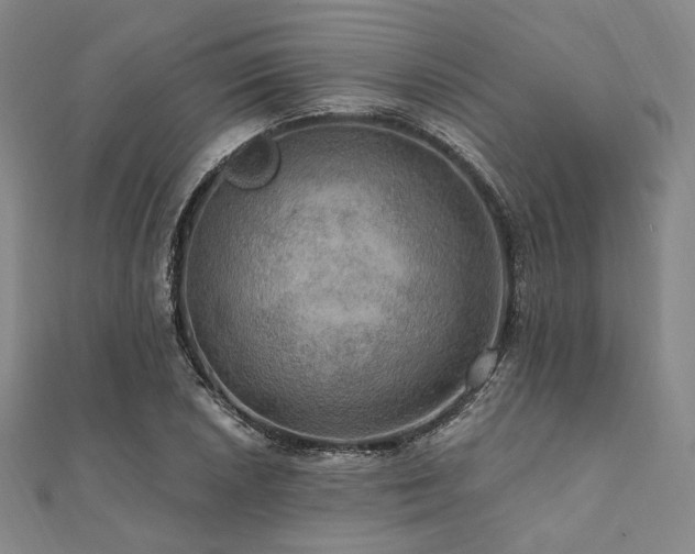 X0000112101026200908041507