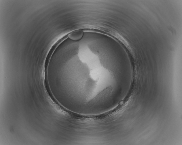 X0000112101028200908041507