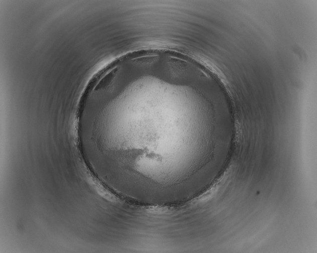 X0000112101029200908041507