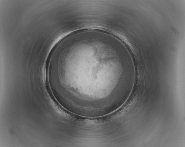 X0000112101032200908041507