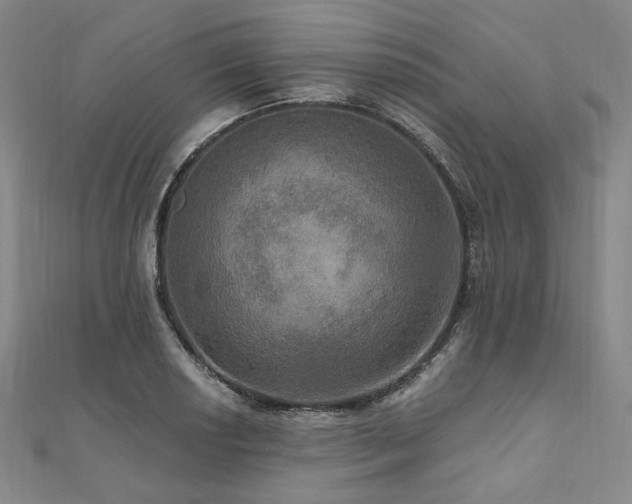 X0000112101034200908041507
