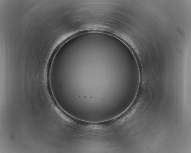 X0000112101037200908041507