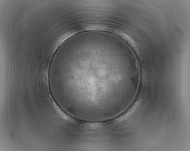 X0000112101041200908041507