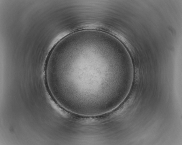 X0000112101042200908041507