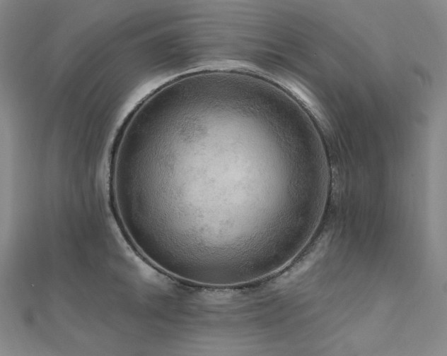 X0000112101046200908041507