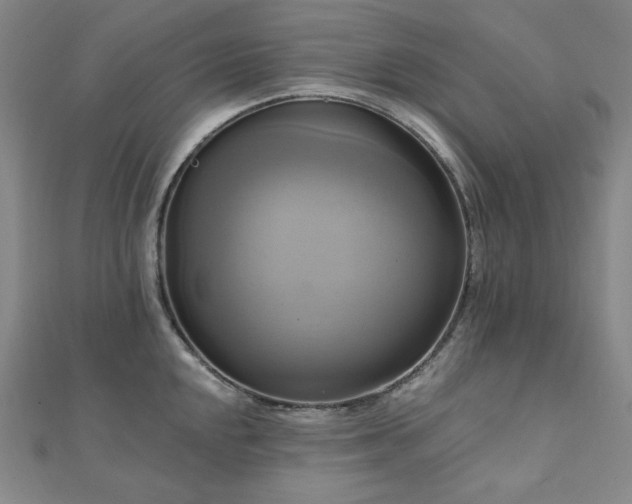 X0000112101048200908041507